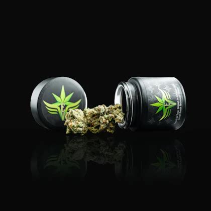 Shop the Best Gaylord Dispensary Prices